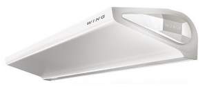 Wing С100