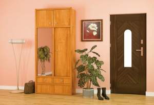 ПЕРЕДПОКОЇ / КАРІНА