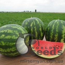 Арбуз Виктория F1 1000 семян. (Nunhems) Арбуз Виктория F1 1000 семян. (Nunhems)