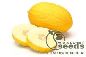 Дыня Дукрал F1 100 семян.  (Rijk Zwaan)