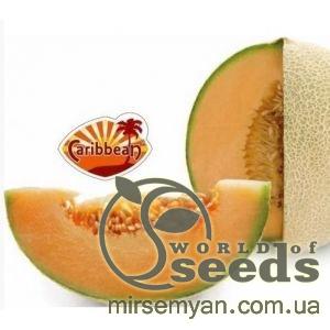 Дыня Карибиан Голд F1 100 семян. А  (Rijk Zwaan) Дыня Карибиан Голд F1 100 семян. А  (Rijk Zwaan)