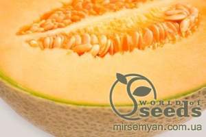 Дыня Карибиан Кинг F1 1000 семян. (Rijk Zwaan)