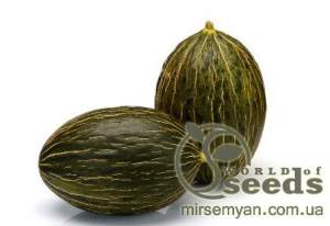 Дыня Рикура F1 100 семян. (Rijk Zwaan) Дыня Рикура F1 100 семян. (Rijk Zwaan)