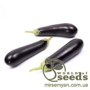 Баклажаны Бриджит F1. 1000 семян. (Rijk Zwaan) Баклажаны Бриджит F1. 1000 семян. (Rijk Zwaan)