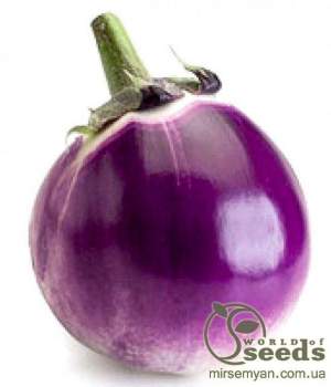 Баклажаны Сабелле F1. 100 семян. (Rijk Zwaan) Баклажаны Сабелле F1. 100 семян. (Rijk Zwaan)