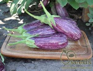 Баклажаны Лейре F1. 1000 семян. (Rijk Zwaan) Баклажаны Лейре F1. 1000 семян. (Rijk Zwaan)