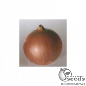 Лук Утреро F1 100 000 семян. (Nunhems) Лук Утреро F1 100 000 семян. (Nunhems)