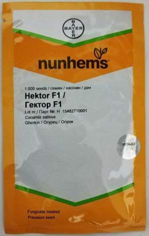 Огурец Гектор 1000 семян. (Nunhems) Огурец Гектор 1000 семян. (Nunhems)