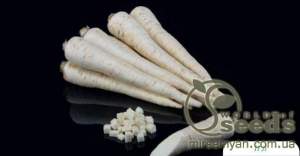 Петрушка Игл/Eagl (корневая) 500гр. (Bejo)