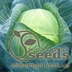 Капуста Леннокс F1 2500 семян. (Bejo)