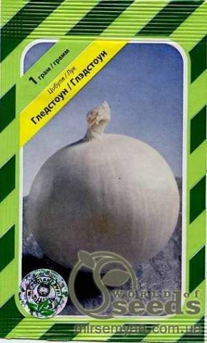 Лук Гледстоун 1г А Лук Гледстоун 1г А