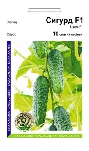 Огурец Сигурд F1 10 семян. А Огурец Сигурд F1 10 семян. А