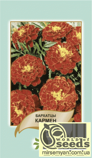 Бархатцы Кармен 5г А