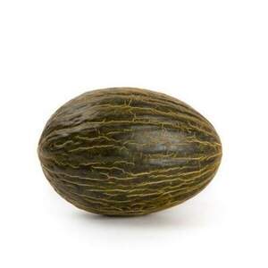 Дыня Бравура F1 100 семян. (Rijk Zwaan) Дыня Бравура F1 100 семян. (Rijk Zwaan)