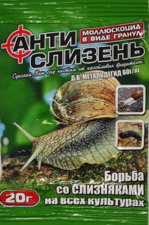 Фунгицид Фунгицид