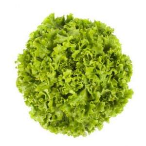 Салат Отели 1000 семян. (Rijk Zwaan)