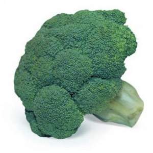 Капуста брокколи Квинта F1 2500 семян. (Takii Seeds)