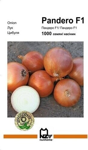 Лук Пандеро 1000 семян. А (Nunhems) Лук Пандеро 1000 семян. А (Nunhems)
