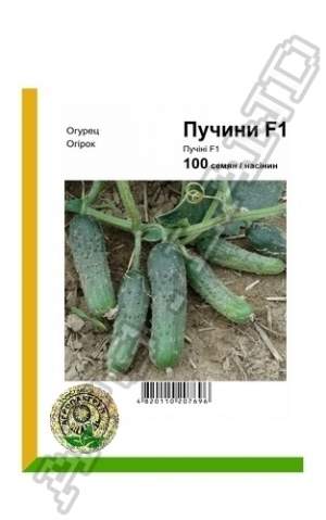 Огурец Пуччини F1 100 семян.  А Огурец Пуччини F1 100 семян.  А