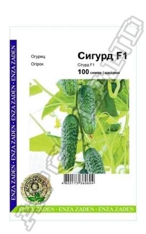 Огурец Сигурд F1 100 семян. А Огурец Сигурд F1 100 семян. А