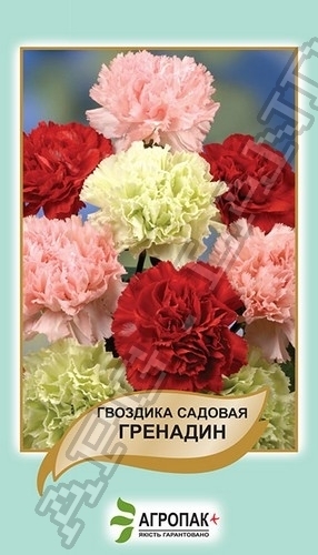 Гвоздика Гренадин 0,2г А Гвоздика Гренадин 0,2г А