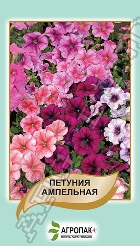 Петуния ампельня, смесь – 50 семян, А