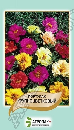 Портулак великокв. (смесь) 0,1г Портулак великокв. (смесь) 0,1г
