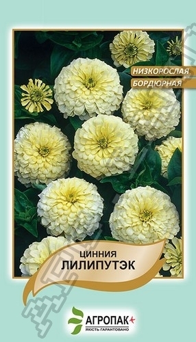 Цинния изящная Лилипутэк, белая – 0,2 гр.
