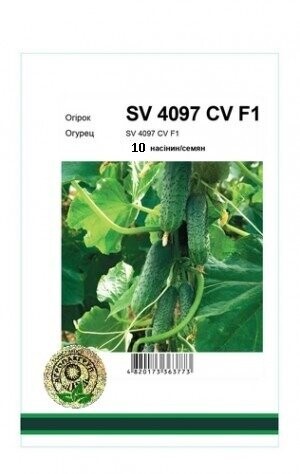 Огурец 4097 F1 10 семян. А Огурец 4097 F1 10 семян. А