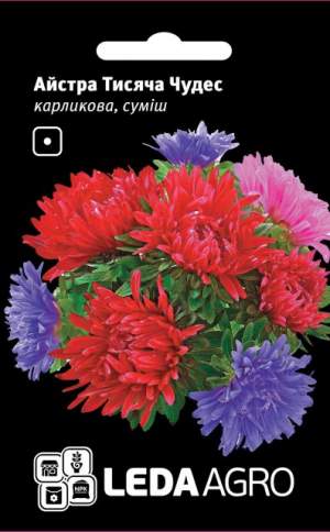 Астра Тысяча Чудес, карликовая смесь 0,2г.  L Астра Тысяча Чудес, карликовая смесь 0,2г.  L