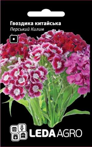 Гвоздика Персидский ковер смесь 0,1г. L Гвоздика Персидский ковер смесь 0,1г. L