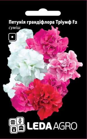 Петуния бахромы. Триумф 50н смесь А Петуния бахромы. Триумф 50н смесь А