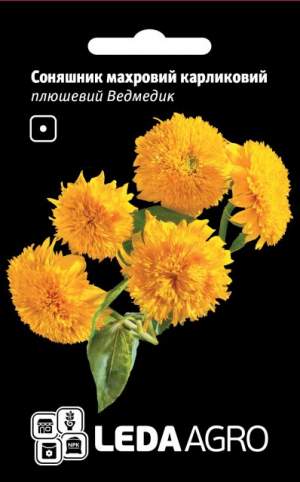 Подсолнечник Плюшевый Мишка, махровый карликовый 1г. L Подсолнечник Плюшевый Мишка, махровый карликовый 1г. L
