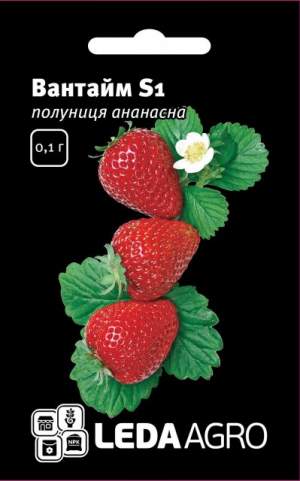 Клубника ананасная Вантайм S1 0,02г.  L