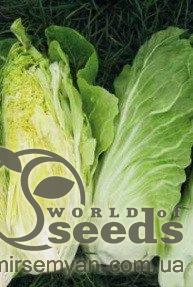 Салат Ксамена 5000 семян. (Enza Zaden)