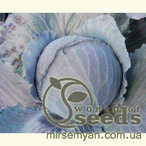 Капуста Редская F1 1000 семян. (Clause) Капуста Редская F1 1000 семян. (Clause)