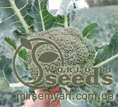 Капуста брокколи Корос F1 1000 семян. (Clause) Капуста брокколи Корос F1 1000 семян. (Clause)