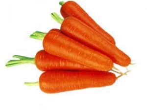 Морковь Абако F1 1г.  А