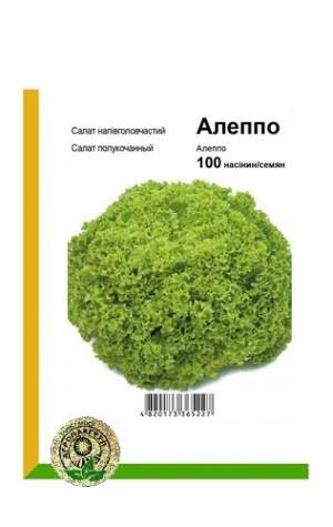 Салат Алеппо 100 семян. А Салат Алеппо 100 семян. А