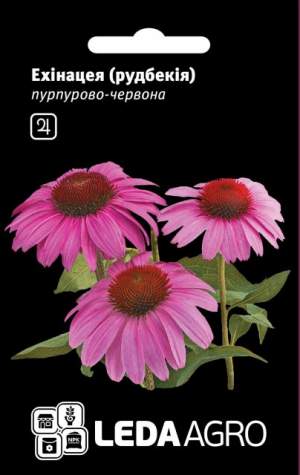 Эхинацея (пурпур-червь) 0,1г.  L Эхинацея (пурпур-червь) 0,1г.  L