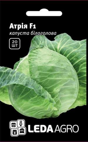 Капуста Атрия F1 20 семян.  L