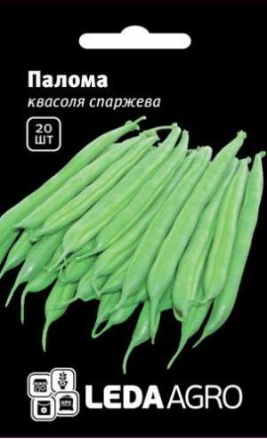Фасоль Палома (спаржевая, зеленая) 20 семян.  L Фасоль Палома (спаржевая, зеленая) 20 семян.  L