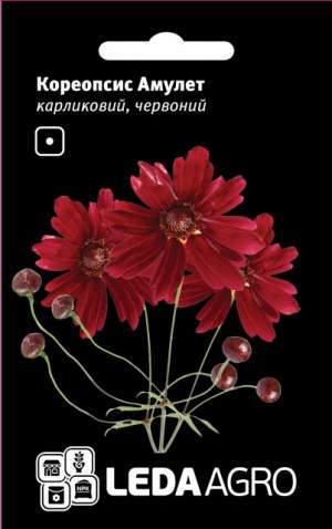 Кореопсис Красный Амулет, карликовый 0,2г.  L Кореопсис Красный Амулет, карликовый 0,2г.  L