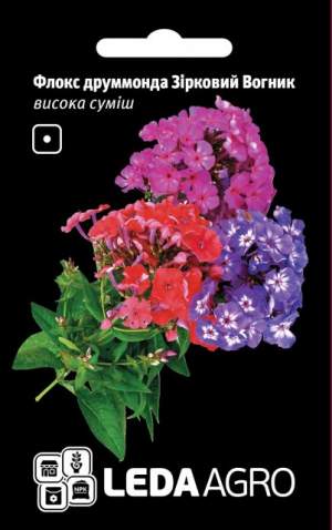 Флокс друмонда Звездный Огонек, 0,2г.  L Флокс друмонда Звездный Огонек, 0,2г.  L