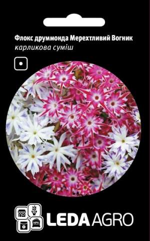 Флокс друмонда Мерцающий Огонек, 0,2г.  L Флокс друмонда Мерцающий Огонек, 0,2г.  L