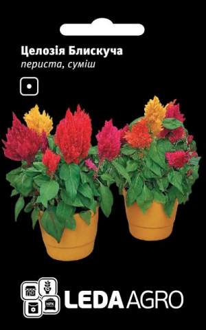 Целозия Блестящая перистая, смесь 0,01г.  L
