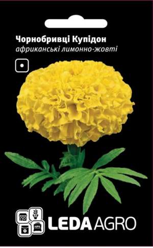 Бархатцы Купидон, африканские, лимонно-желтые 0,2г.  L