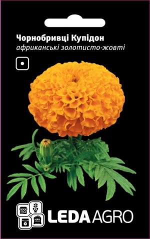 Бархатцы Купидон, африканские, золотисто-желтые 0,2г. L Бархатцы Купидон, африканские, золотисто-желтые 0,2г. L
