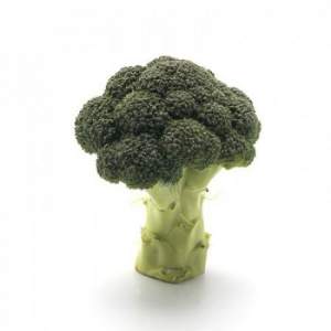 Капуста брокколи Орантес F1 2500 семян. (Rijk Zwaan)