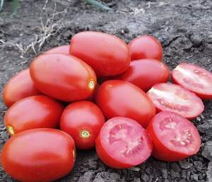 Помидоры 9905 F1 500 семян. (Lark Seeds) Помидоры 9905 F1 500 семян. (Lark Seeds)